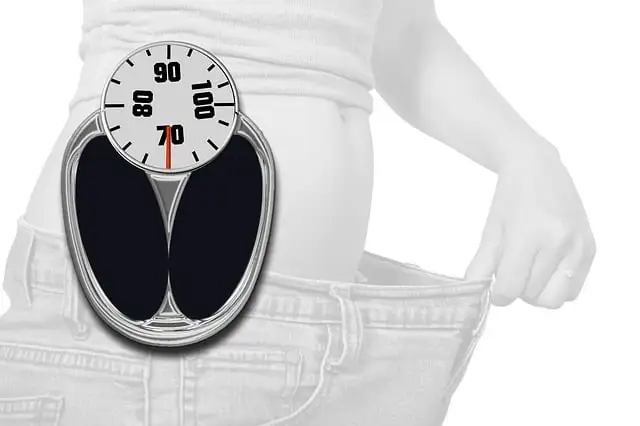 Vorschaubild für den Artikel "Abnehmen ohne Hunger: Tipps & Tricks"